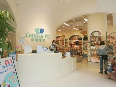 中国国际宠物水族用品展览会 最新动态与专业服务全面解读